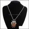 Pendant Necklaces Pretty Brand Charms Women 18K Gold Necklace Vintage Crystal Cubic Zircon Diamond Fine Jewelry Owl Penda Yzediblesh Dha1X