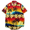 Camisas casuais masculinas Camisa de verão Hawaiian Holiday Casy Casy Roupas 3D Botton Botton Down Aloha Beach Tops de mangas curtas de grandes dimensões
