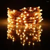 Strings LED String Lights Fairy Micro Battery Power Copper Wire impermeável para festa de festas de festas de festas D30 D30