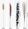 Dried Flowers Natural Dried Flowers Eucalyptus Bunny Tail Pampas Grass Preserved Bouquet DIY Wedding Mother's Party Gift Room For Girls 230204