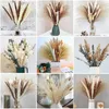Dried Flowers Natural Dried Flowers Eucalyptus Bunny Tail Pampas Grass Preserved Bouquet DIY Wedding Mother's Party Gift Room For Girls 230204