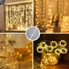 Corde per tende Ghirlanda LED String Lights Fata Natale Decorazione della stanza Illuminazione USB per San Valentino