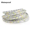 Paski Tira LED pasek wodoodporny 5M 300LD DC 12V RGBWW White Warm LUCES FITA Light Flexibleleded