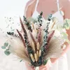 Dried Flowers Natural Dried Flowers Eucalyptus Bunny Tail Pampas Grass Preserved Bouquet DIY Wedding Mother's Party Gift Room For Girls 230204