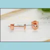 Stud Rose Golden For Women Earrings Summer 925 Sterling Sier Hartgepated Fashion Koreaanse sieraden Drop Delivery Otgxe