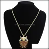 Pendant Necklaces Pretty Brand Charms Women 18K Gold Necklace Vintage Crystal Cubic Zircon Diamond Fine Jewelry Owl Penda Yzediblesh Dha1X