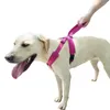 犬の襟ハーネスは、中犬と大型犬用の簡単な制御ハンドルを備えた、プル調整可能なソフトパッド入りベストナイロン反射ペット