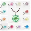 Hanger kettingen chokers voor vrouwen lederen bal kristalglas gedroogde bloemen ketting vipjewel drop levering sieraden hangers dhqel