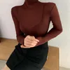 Women's T Shirts Pile Of High Collar Bottoms Women's Underwear Autumn And Winter 2023 Foreign Style Sexy Perspective Thin Top Long