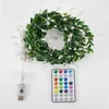 Strings USB Remote Control RGB Dream Color Waterdichte Licht String Indoor Room Holiday Party Bar Decoratie LED
