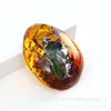 Pendant Necklaces Natural Insect Drops Amber Beeswax Pendants Specimens Butterfly Loose Fragrance Thick Rough Stone Collection