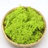 Decorative Flowers & Wreaths Flower Material Mini Garden Micro Landscape Gift 200g Simulation Plants Eternal Life Moss Home Decor DIY Wall D