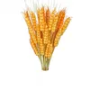 Flores decorativas grinaldas 1 Simulação Barley Flower Flower Fake Wheating Shooting Props Artificial Plant Living Room El Decoration Bottle