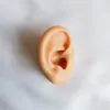 Sacchetti per gioielli Modello di orecchio in silicone Display umano artificiale per auricolari acustici Pratica piercing nella vetrina che mostra il corpo