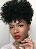 pixie curls Brazilian Human Hair Wigs For Black Women, Short Afro Kinky Curly Bob Wigs No Lace Front Machine Made bob Wigs