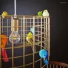 Lampes suspendues rétro cuivre or créatif en fer forgé lumière cage à oiseaux personnalité américaine salle à manger chambre suspendue