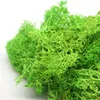 Dekorative Blumenkränze, Blumenmaterial, Mini-Garten, Mikro-Landschaft, Geschenk, 200 g, Simulationspflanzen, ewiges Leben, Moos, Heimdekoration, DIY, Wanddekoration