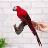 Trädgårdsdekorationer 25 cm simulering papegoja kreativ handgjorda skum fjäder macaw gräsmatta figur prydnad falska djur fågel prop dekorationgarden