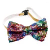 Hundkläder Pet Cat Collar Accessories Sequined Bow Tie Holiday Party Decorations