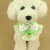 Colarinhos de cachorro Princesa de verão gravata borboleta jóias de animais de estimação VIP panda sinos.