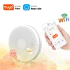 Другие аксессуары тревоги 2 в 1 версии Wi -Fi Функция Tuya и Smart Life Датчик детектора дыма.