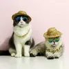 Trajes de gato copos de estimação de animais de estimação de óculos de sol multicolor