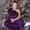 Abiti da ragazza Sparkling Kids Party Una spalla Ruffles Mini Tutu Pageant Gowns Glitter Paillettes Puff Birthday Flower Dress