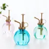 Vattenutrustning Retro Pot Flower Antique Plastic Glass Bronze Style Plants Dusch Crafts Bottle Small Garden Tools Tools