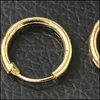Hoop Huggie Wholesale Gold Sier Plated Earrings Small Hie Round Circle Loop Earring Women Men Ear Jewelry Accessories Cool Pendien Dhcyt