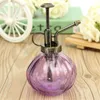 Vattenutrustning Retro Pot Flower Antique Plastic Glass Bronze Style Plants Dusch Crafts Bottle Small Garden Tools Tools