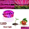 LED Strips Fl Spectrum SMD5050 زراعة الشريط ضوء غير مقاوم للماء للمصنع المائي بزراعة المصباح الأحمر الأزرق 41 إسقاط تسليم أضواء DH84W