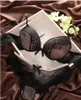 Sexy Conjunto 2021 Fanshion Women Bra Sets Lady Lady Roufe-de-índices de cetim de cetim Bordado com calcinha Big Cup BC tamanho 70-80 preto y2302