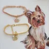犬の首輪かわいいペットの首輪強い摩耗性犬猫ラインストーンの装飾