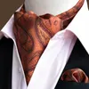 Bow Ties Erkekler Moda Paisley Cravat Mendil Ascot Eşarp Cep Meydanı Seti Bwtrs0074