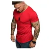 Men's T-skjortor Fashion Summer Gym Muscle Tee Topps Bodybuilding Cotton Sport Fitness Casual T-shirt Plus Size Solid White