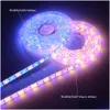 LED -remsor vattent￤t 5050 SMD -strip ljus 5M 12V dekorationstr￤ngslampa 60LEDS/M rgb rgbw rgbww gul rosa bl￥ gr￶n r￶d 11 f￤rg dhfmj