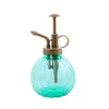 Vattenutrustning Retro Pot Flower Antique Plastic Glass Bronze Style Plants Dusch Crafts Bottle Small Garden Tools Tools