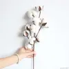 20PC Dried Flowers Naturally Cotton Flower Artificial Plants Floral Branch For Wedding Party Decoration Fake Home Decor Y
