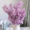20PC Dried Flowers g Natural Immortal Flower Preserved Penglai Pine Fleeciness Garden Decoration Outdoor Living Room House Accessories Y