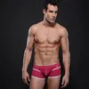 Underpants Men's Underwear Boxer Shorts Nylon Mesh Breathable Comfortable Sexy Home