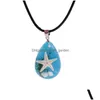 Collane con ciondolo Gioielli Cr Resina naturale Collana campione di stelle marine Pietra luminosa Souvenir turistico Ambra Artigianato Drop Deliv Dhgarden Dhcjb