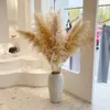 20PC Dried Flowers CM Natural Artificial Cultivation Pampas Grass Large Real Reed Bouquet Decor for Home Wedding Decoration Y