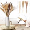 20PC Dried Flowers Pampas Grass With Vase Dekoration Phragmites Artificial Plants Wedding Flower Bunch Home Decor Droogbloemen Decoration Y