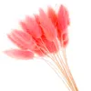 20pc Flores secas Plugue natural Flor artificial colorida Fake Rabbit Tail grama Foxtail Long Buncos Plants Decor Y