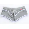 Underpants Men's Underwear Boxer Shorts Nylon Mesh Breathable Comfortable Sexy Home