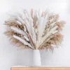 20pc 말린 꽃 pcsdried 꽃 팜파스 잔디 플로레스 인공 웨딩 장식 Fleurs Artificielles Naturelel Christmas Home Decor y