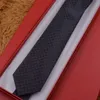 high brands Mens Ties 8.0cm Silk Neck Ties Plaid & Striped Ties for Men Formal Business Wedding Party Gravatas with box