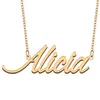 Alicia Name necklace Personalized for women letter font Tag Stainless Steel Gold and Silver Customized Nameplate Necklace Jewelry