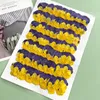 Dekorativa blommor kransar pansy diy handgjorda material torkade pressade verkliga växtprover grossistfri leverans 120 pcsdecorative