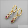 Hoop Huggie oorbellen Fashion gradi￫nt zirkoon hanger voor vrouwen rood/roze kristal kleine hies schattige oorring piercing hoepels sieraden dro dhcqn